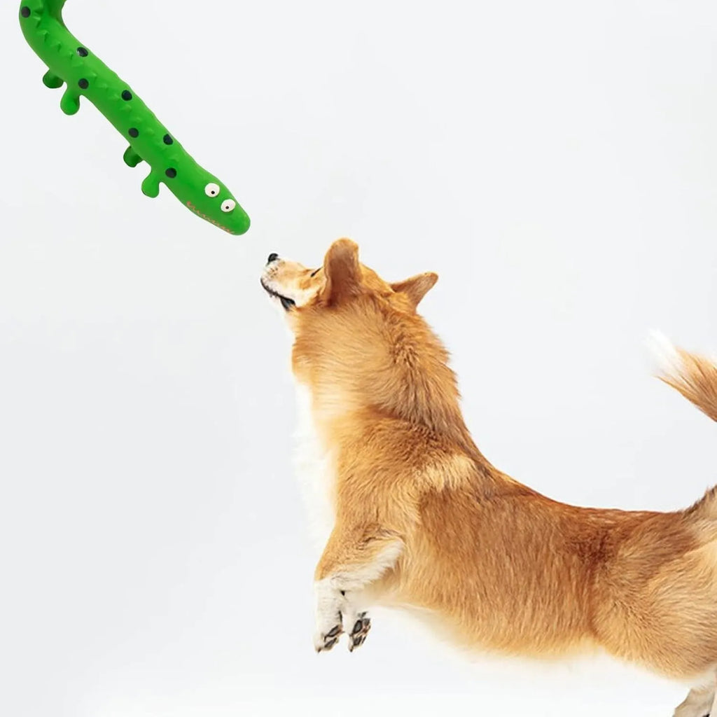 Green lizard-shaped latex dog chew toy with squeaker for aggressive chewing dogs