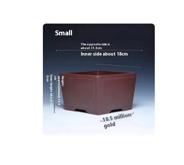 Square purple clay succulent bonsai pot with classical design showing clean lines and natural clay finish