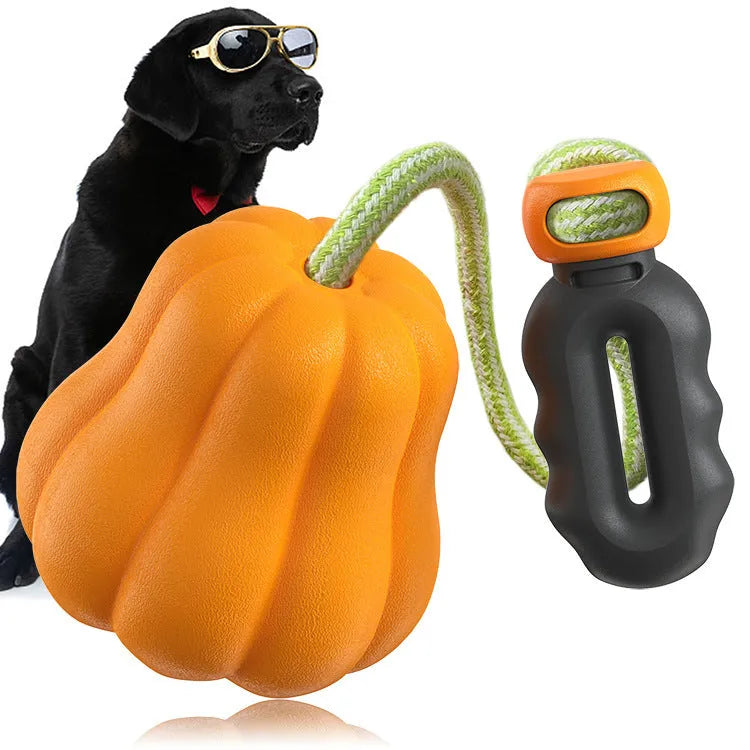 Orange plastic pumpkin dog toy with rope attachment for chewing and throwing games