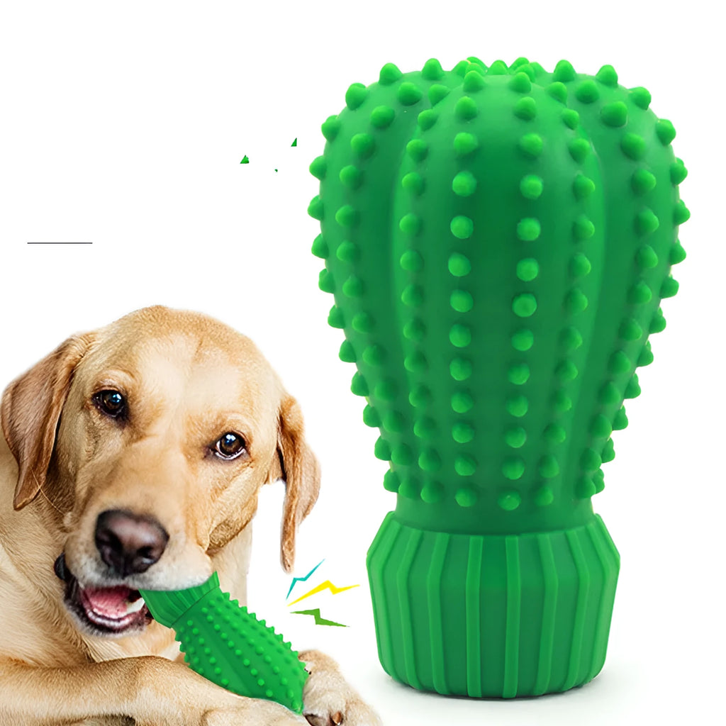 Food grade rubber dog sound toy styled as a cactus for medium and large dogs