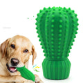 Food grade rubber dog sound toy styled as a cactus for medium and large dogs