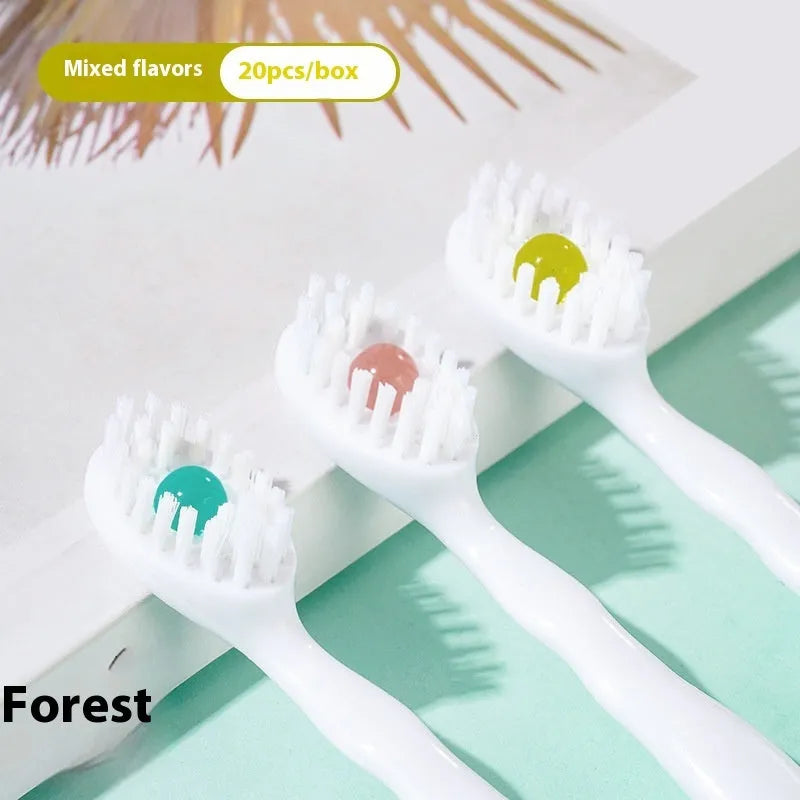 Box of 20 disposable bead toothbrushes with integrated toothpaste for travel