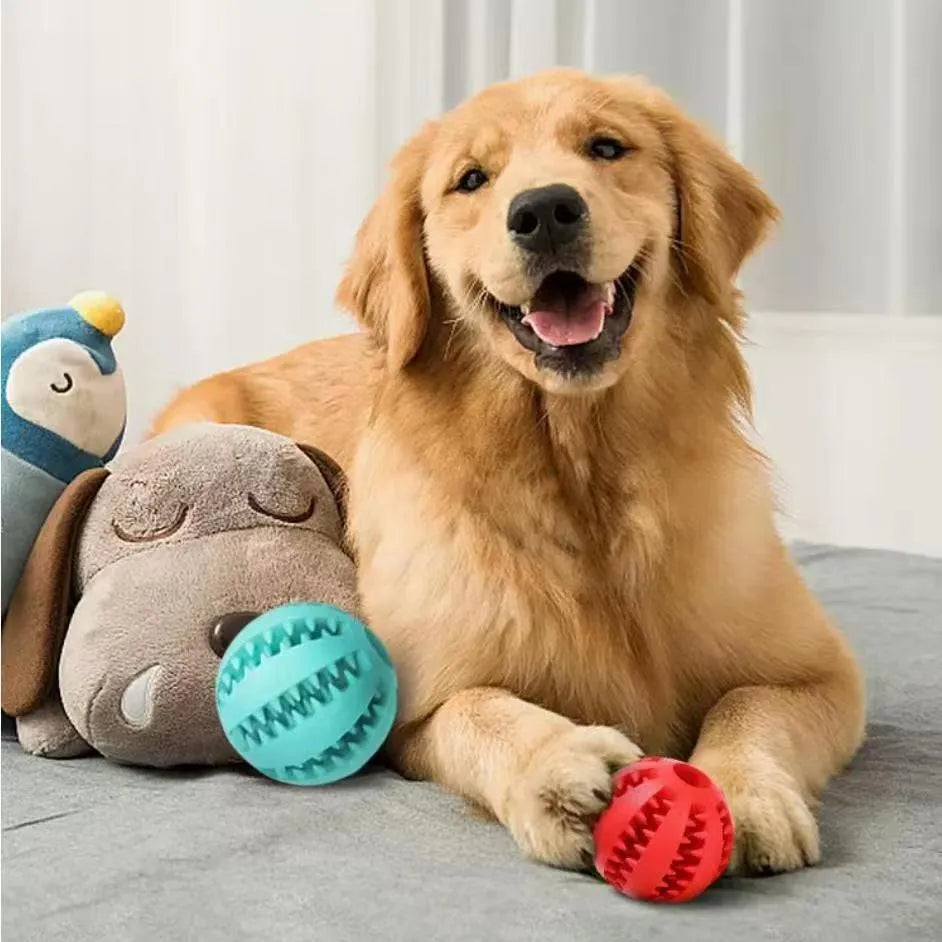 Blue TPR rubber rope ball dog toy for small dogs, measuring 36x6x6 cm, with cotton rope for tug-of-war