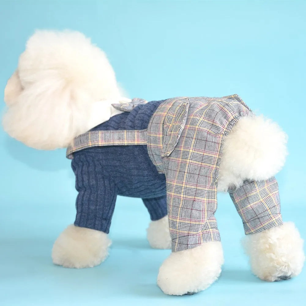 Orange and dark blue cotton shirt for small dogs on a size chart showing S, M, L, XL, 2XL