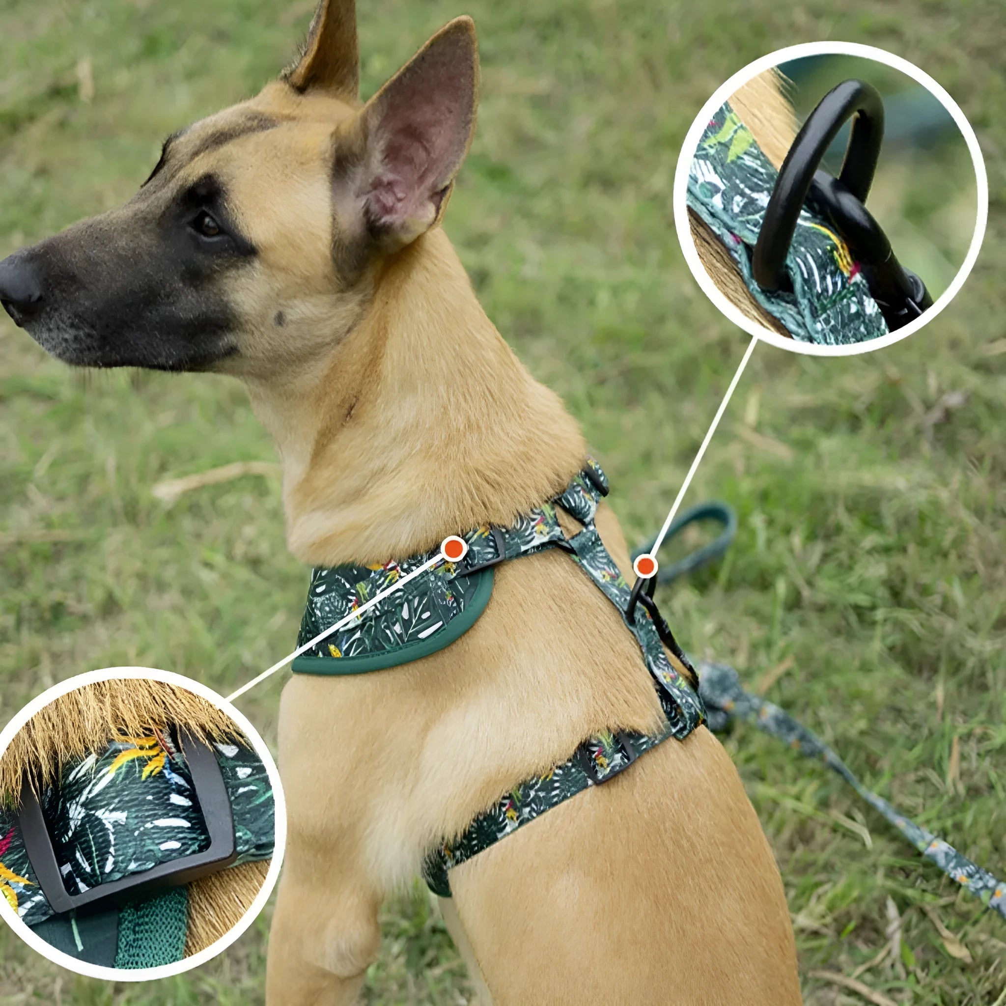 Six-piece cloth dog harness set with chest back, leash, collar, waste bag, bow tie, and scarf in various colours
