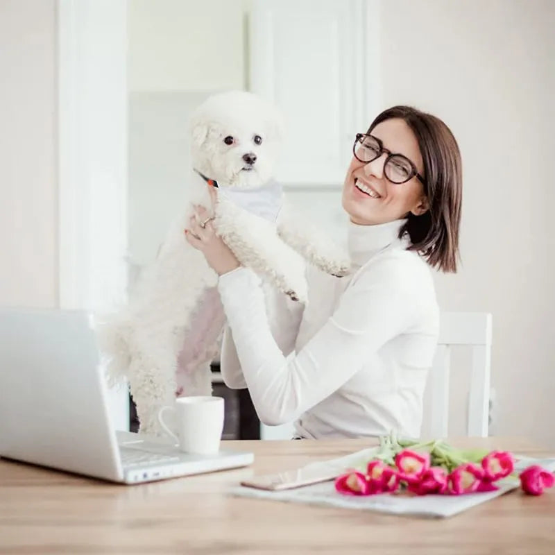Blank white polyester dog scarf for thermal transfer, size M 19cm x 11.5cm