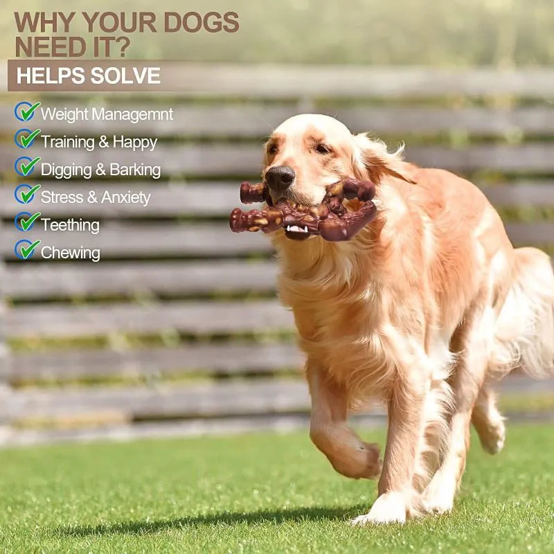 Scarlet red beef flavour nylon dog chew toy for molar nibbling, showing size scale.