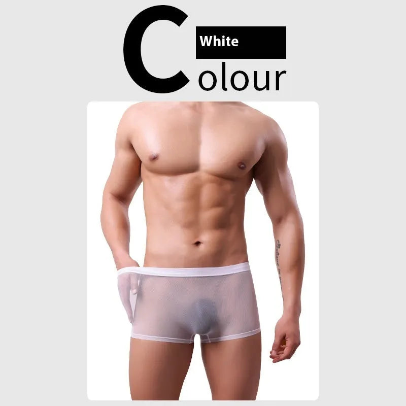 Men's thin sheer mesh boxer briefs in low-waist design, shown in multiple colours.