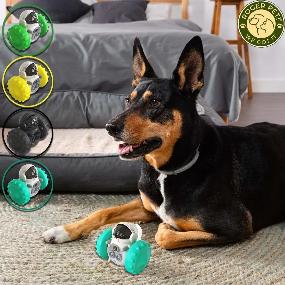 Interactive dog treat dispenser toy for small breeds in various colours with tumbler design