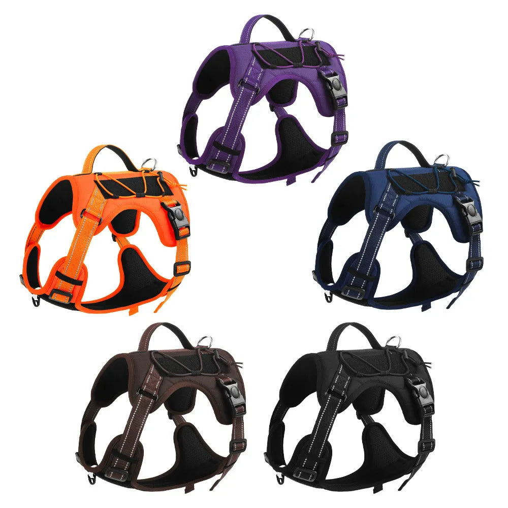 Orange adjustable dog harness with reflective trim and a black hand-holding rope lead attached
