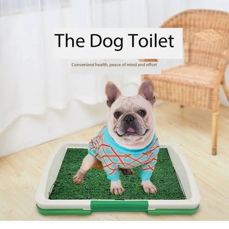 Green artificial grass dog toilet patch with plastic training tray and removable collection base.