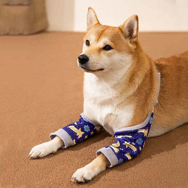Blue dog knee protector with adjustable straps and matching scarf on medium-sized dog