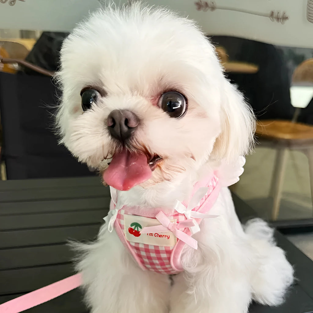Cotton chest-back hand holding rope for small dogs in pink or black colour