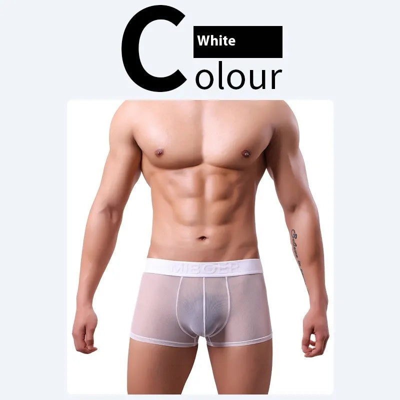 Men's thin polyester boxer shorts in six solid colours on a white background.