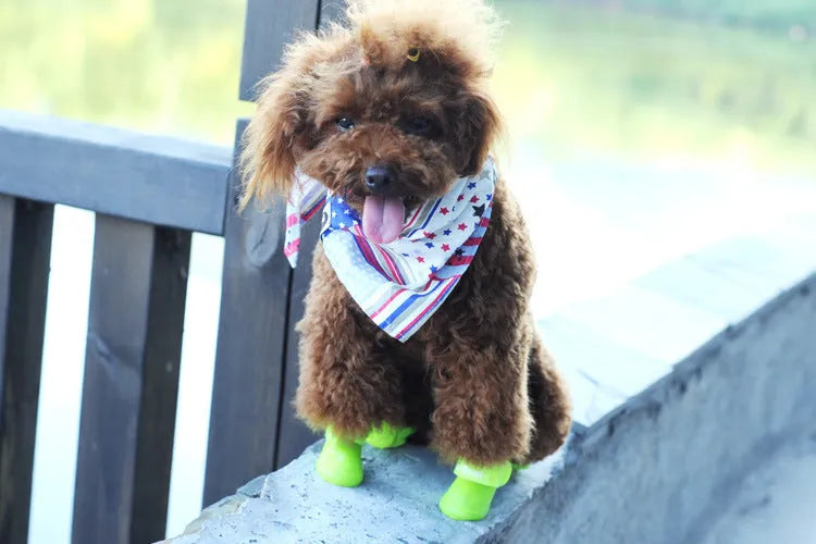 Soft silicone pet rain boots in royal blue and yellow, showing non-slip sole, for dogs size S M L