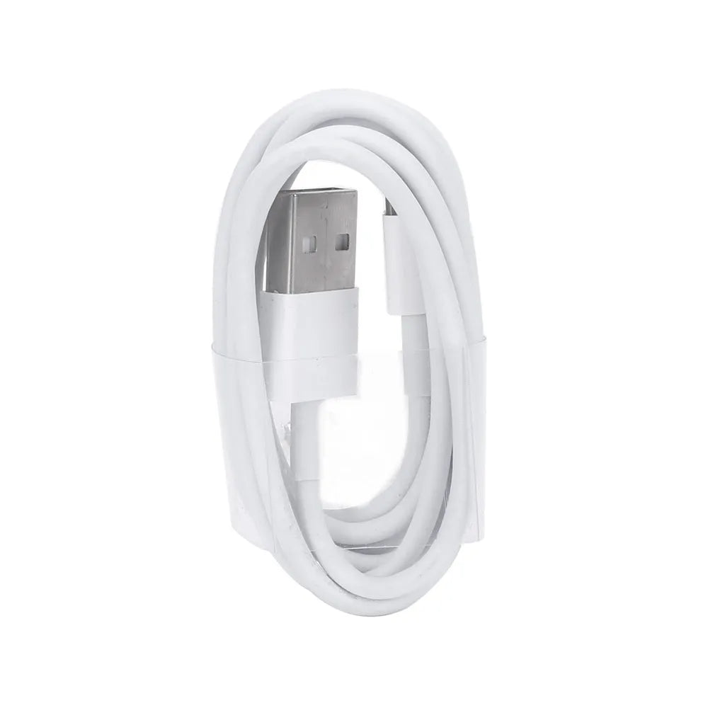 White USB wall charger and white Lightning cable for iPhone and iPad charging.