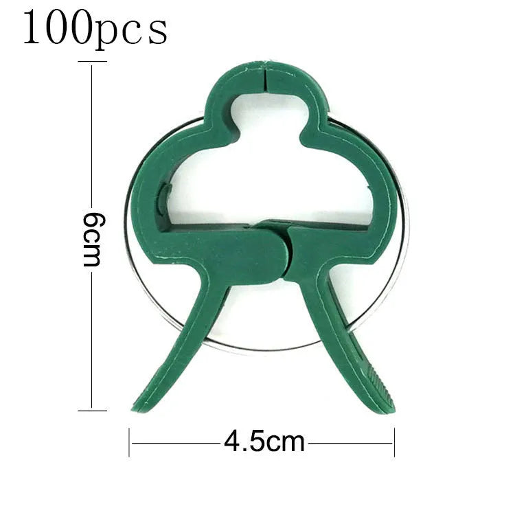Green plastic and zinc plant fixing clips, large and small sizes, for training climbing vines and tomatoes.