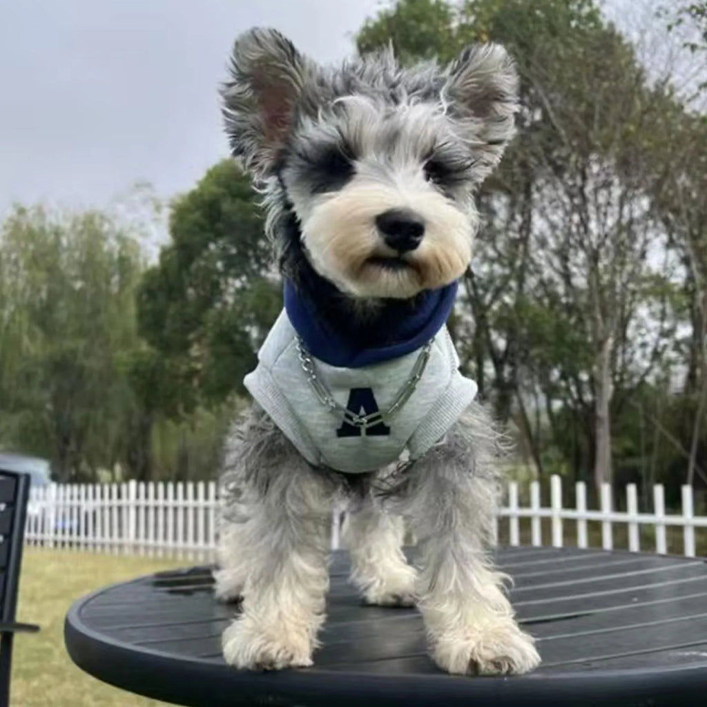Blue and grey-white pet hoodie with reflective lettering for cats and dogs