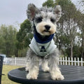 Blue and grey-white pet hoodie with reflective lettering for cats and dogs