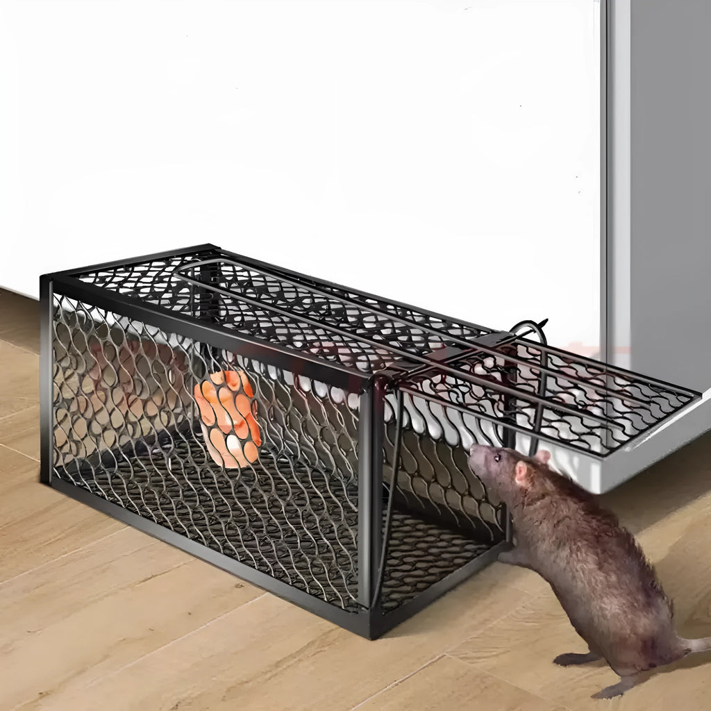 Automatic metal and plastic mouse cage trap shown in small, medium, and large sizes for indoor rodent control.