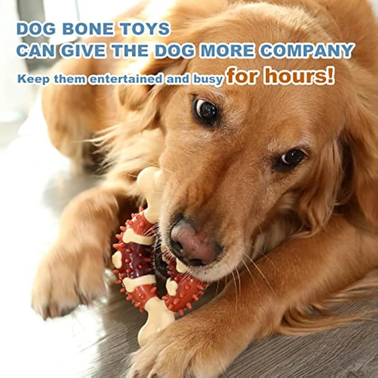 Bone-shaped natural rubber dog molar toy for teeth grinding in two sizes