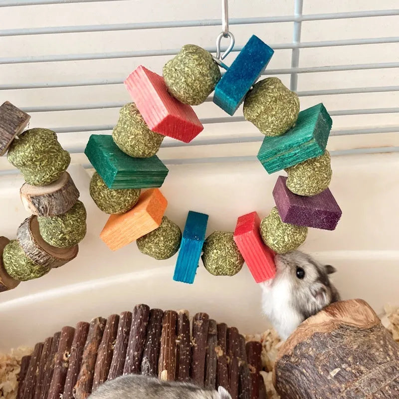 Hamster toy with Applewood straw ball ring for guinea pig and rabbit dental care and enrichment