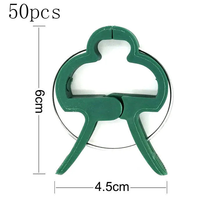 Green plastic and zinc plant fixing clips, large and small sizes, for training climbing vines and tomatoes.
