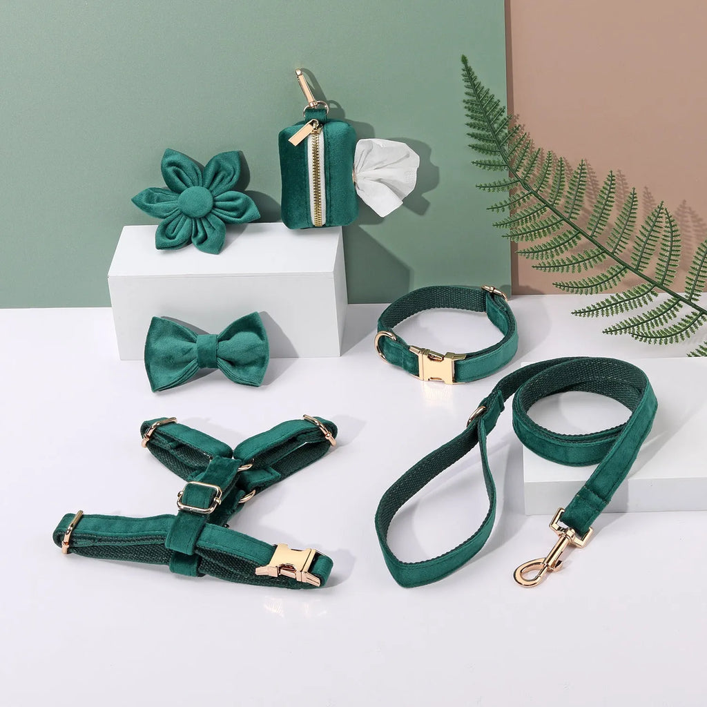 Soft cloth pet harness and lead set in velvet, showing collar, chest strap, lead, bow tie, and flower accessory.