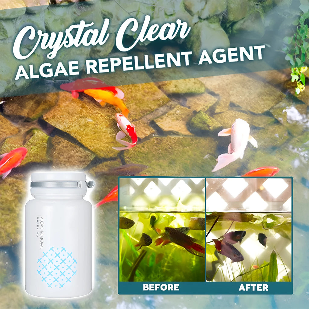 50g net content algaecide pack for swimming pool and aquarium algae control