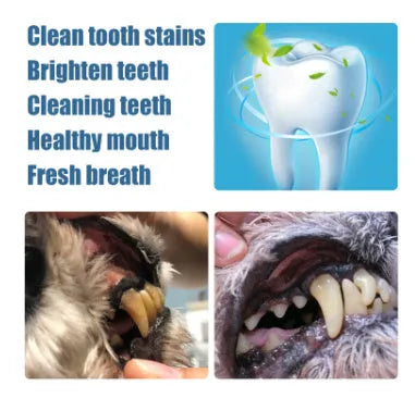 Two white pet tooth whitening pens with brush applicators for dog and cat dental care.