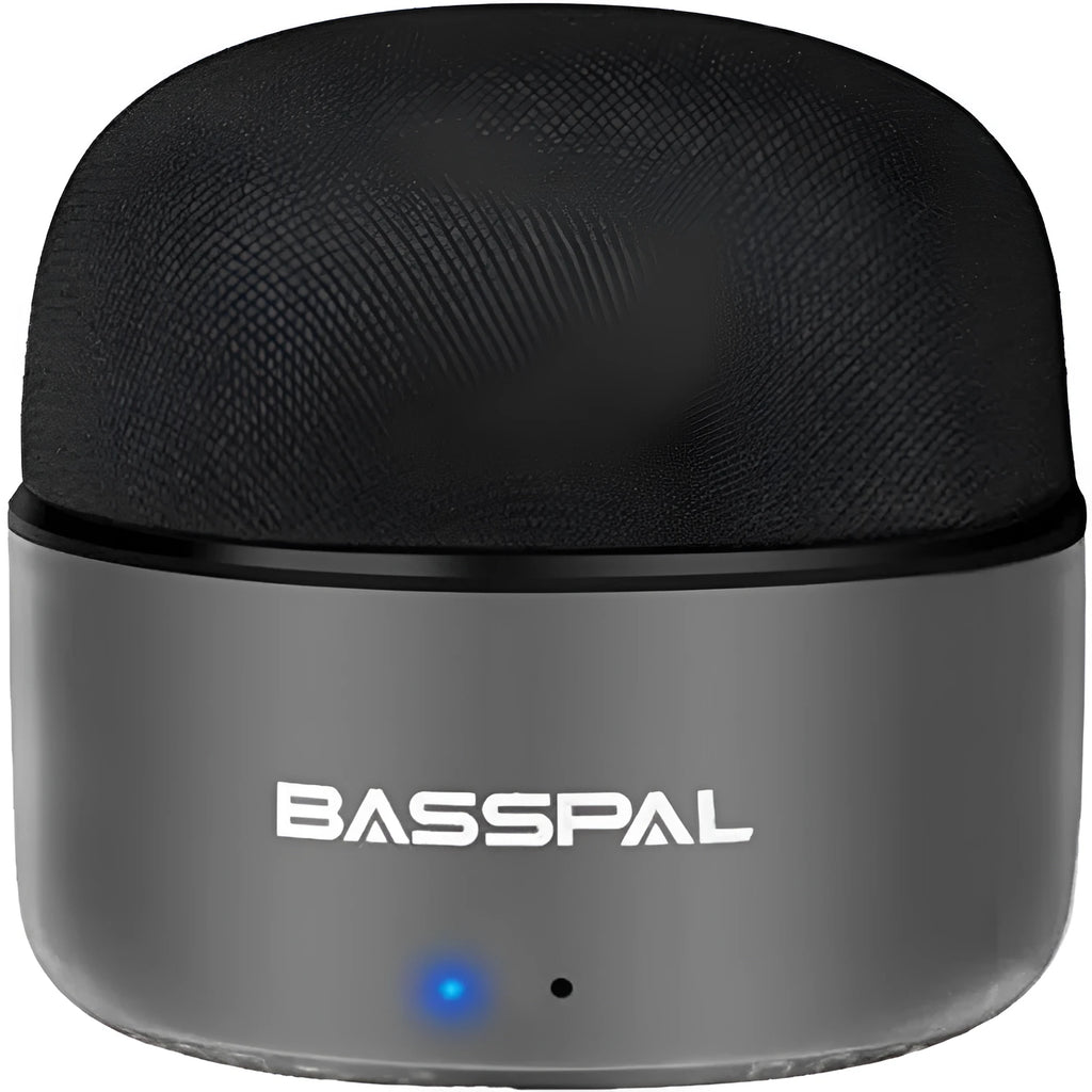Black portable mini bluetooth speaker with waterproof rating and FM radio function