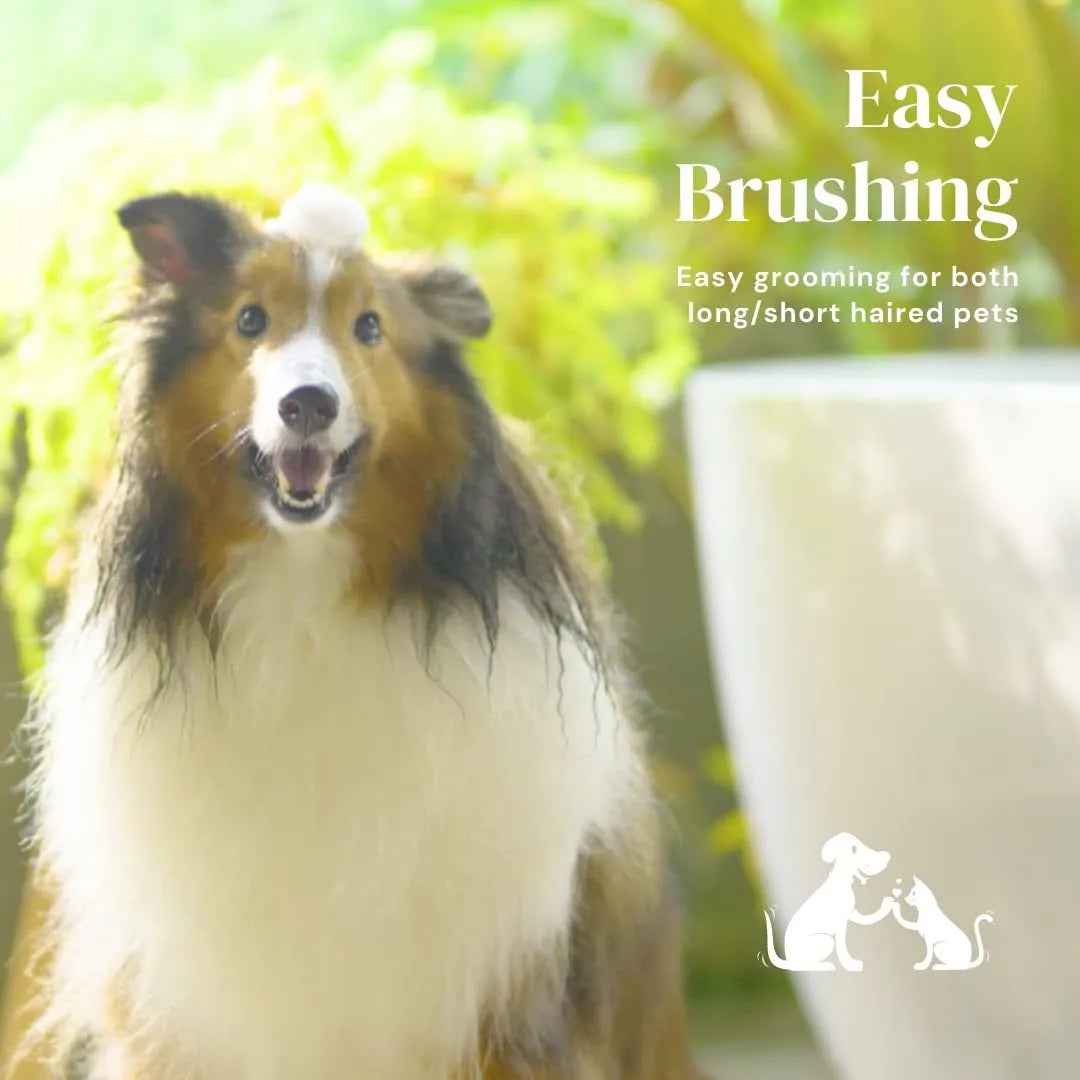 Blue self-cleaning pet slicker brush with ergonomic rubber handle on a grey background.