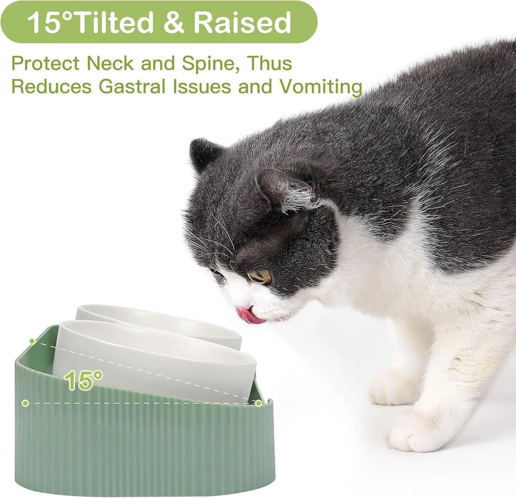 Green ceramic raised pet feeder with two tilted bowls on a non-slip stand