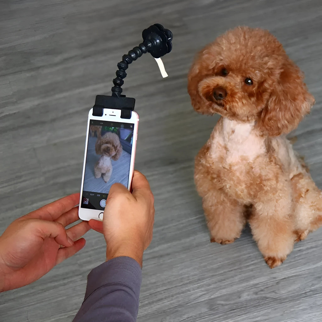 Black pet selfie stick extended to 14.6cm with square and flower clip for mounting on dog collar.