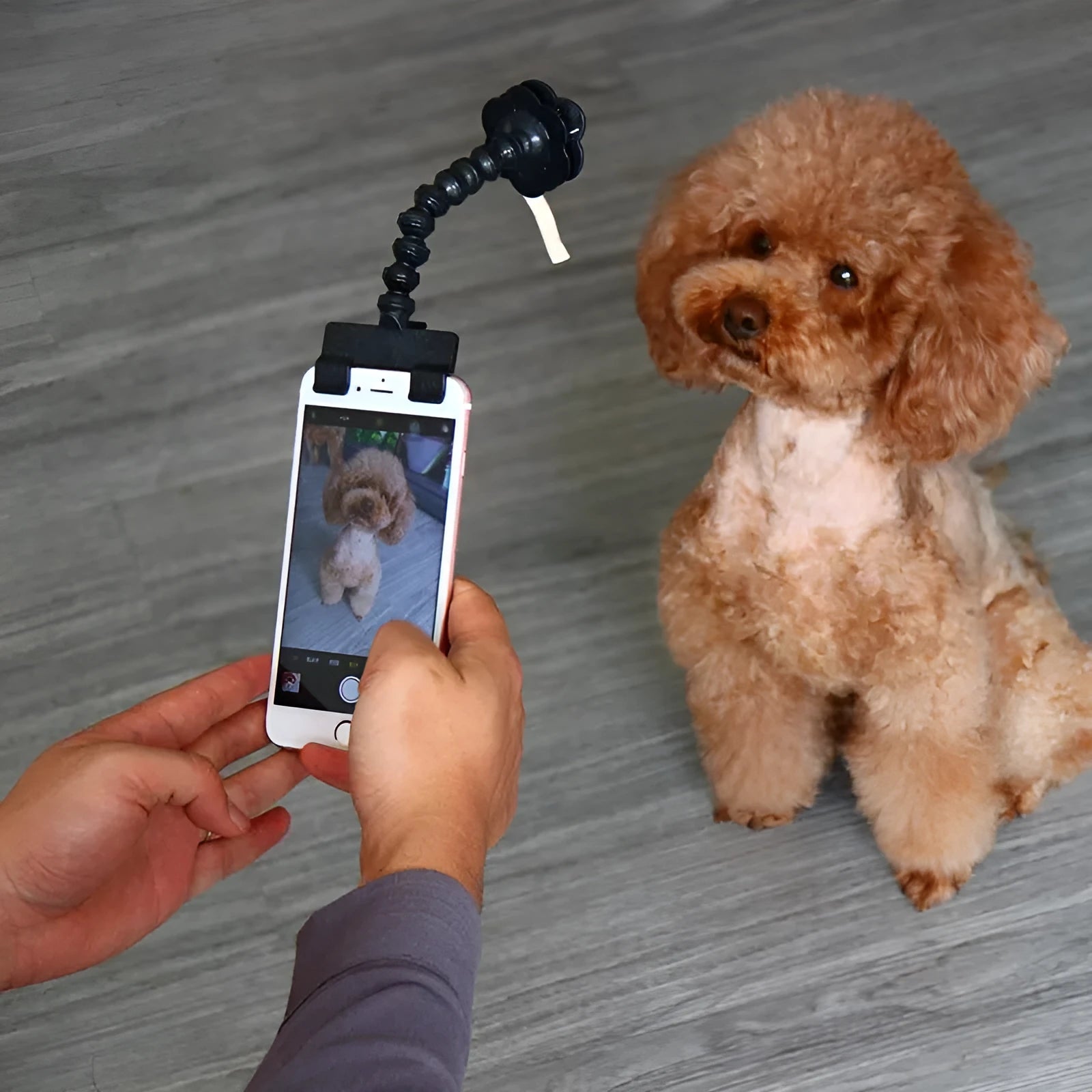 Black pet selfie stick extended to 14.6cm with square and flower clip for mounting on dog collar.