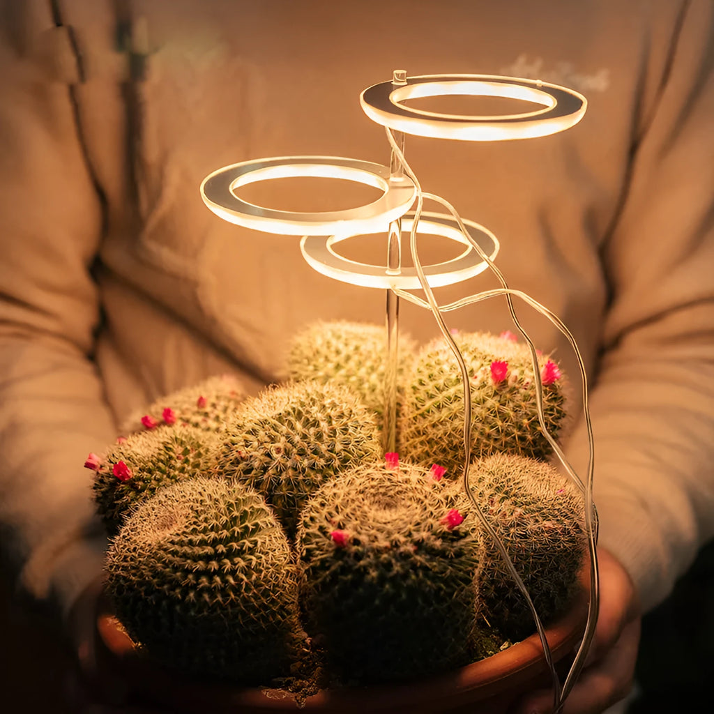 USB LED plant grow light with acrylic stick showing pink/white or yellow colour options