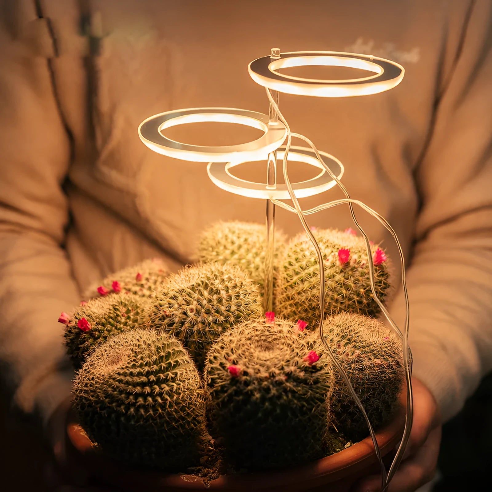 USB LED plant grow light with acrylic stick showing pink/white or yellow colour options