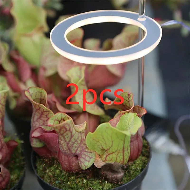 USB LED plant grow light with acrylic stick showing pink/white or yellow colour options