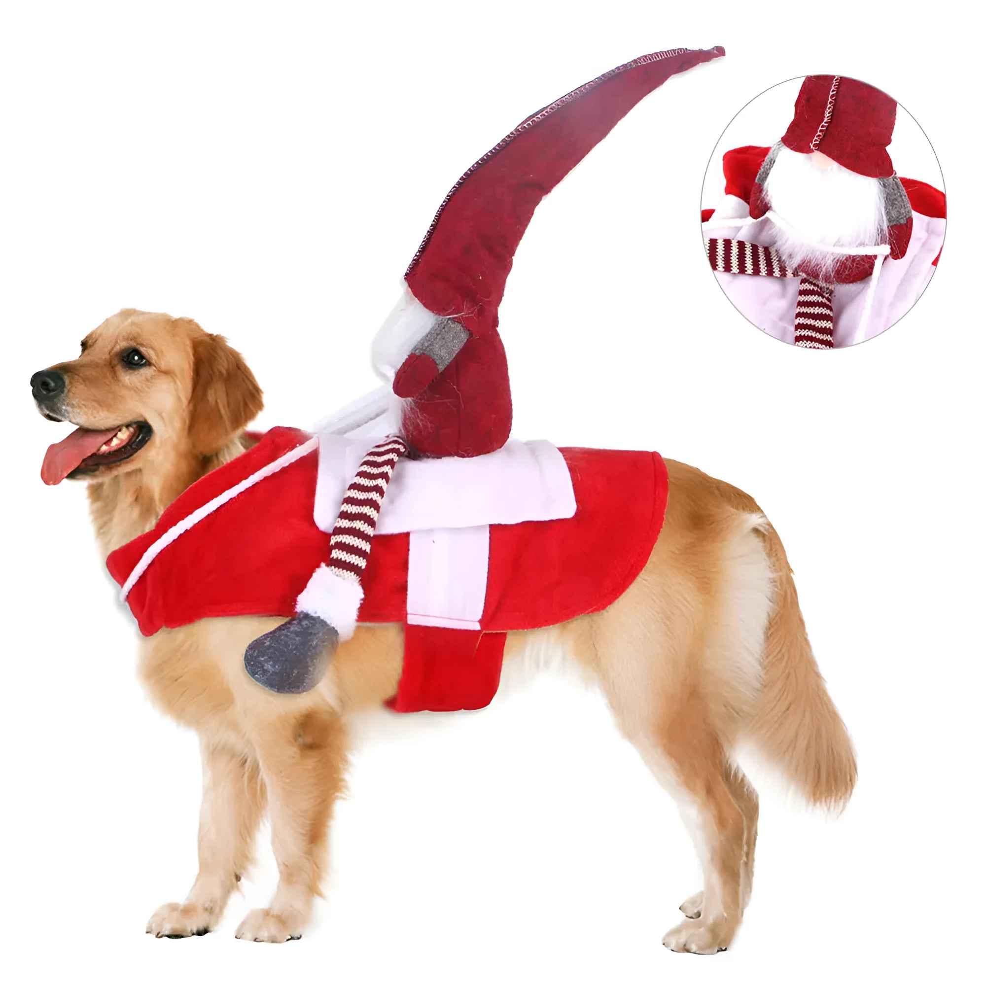 Pet Christmas riding transformation costume in red flannel Santa style with Velcro fastening on a dog or cat