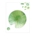 Leaf-shaped post-it notes in eight styles including water lily, plantain, bodhi, perilla, ginkgo, maple leaf, bamboo fragrant seed, and one plum