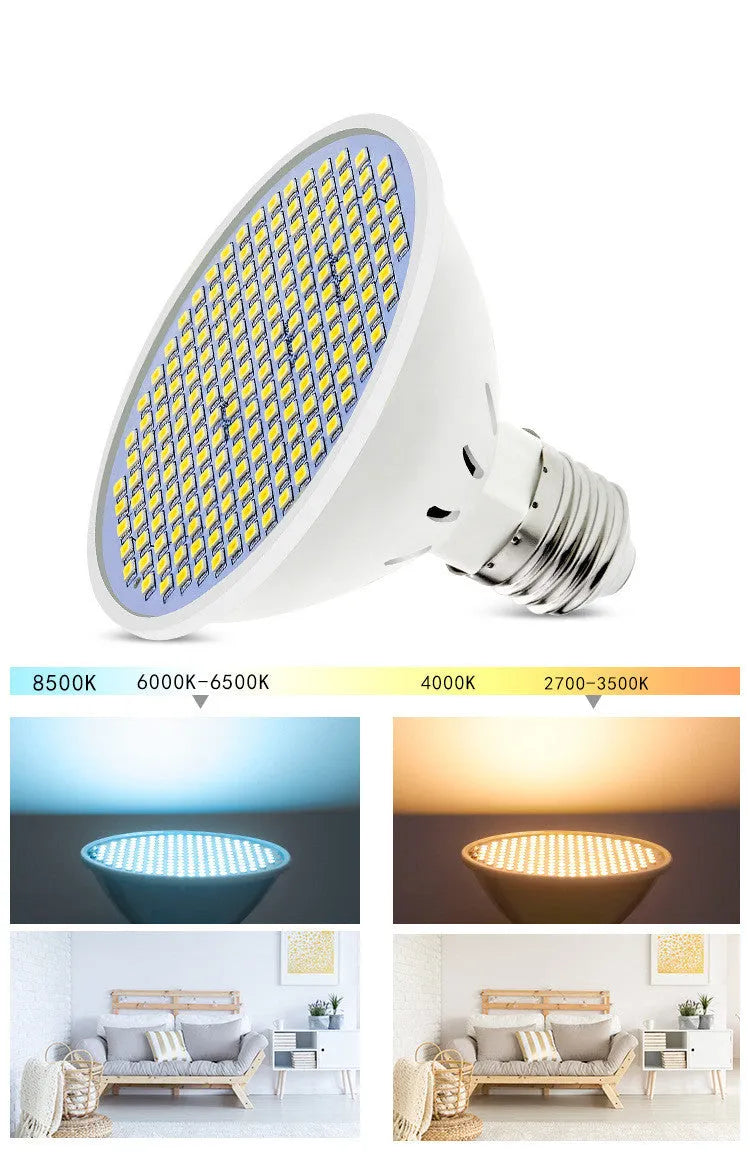 E27 LED lamp cup with SMD 2835 beads showing warm white and cool white options