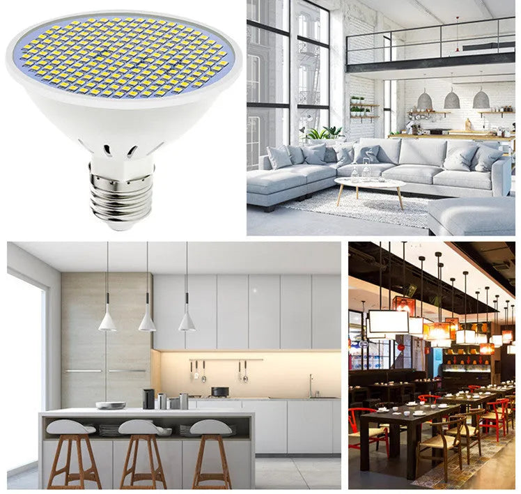 E27 LED lamp cup with SMD 2835 beads showing warm white and cool white options