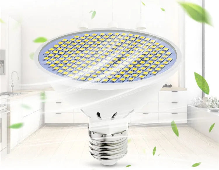 E27 LED lamp cup with SMD 2835 beads showing warm white and cool white options