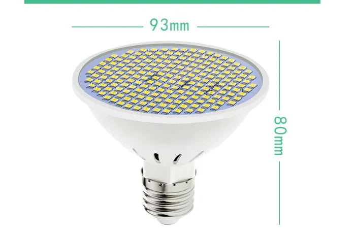 E27 LED lamp cup with SMD 2835 beads showing warm white and cool white options