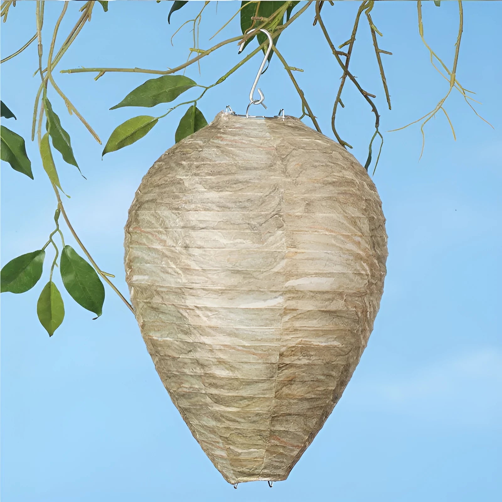 22x28cm beehive paper lantern with wire frame in photographic colours