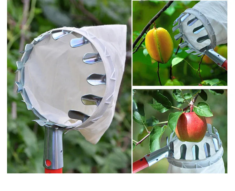 Fruit picker garden tool with steel frame and cloth bag catcher for harvesting fruits