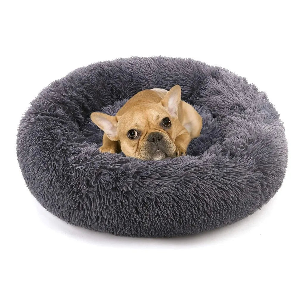 Round plush long velvet doghouse in rainbow gradient colour for small pets on floor