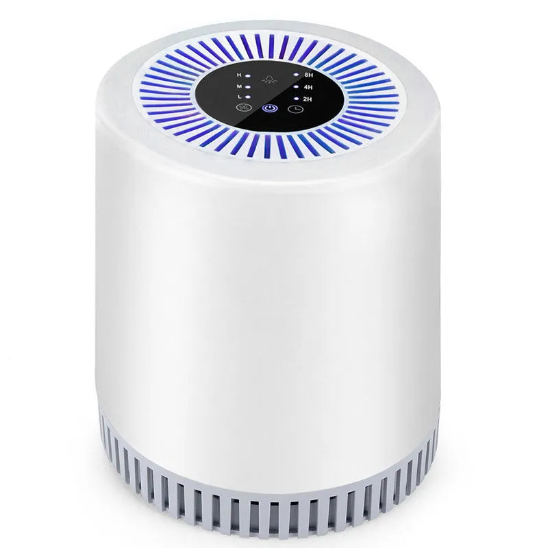 White rectangular HEPA replacement filter for an indoor household air purifier.