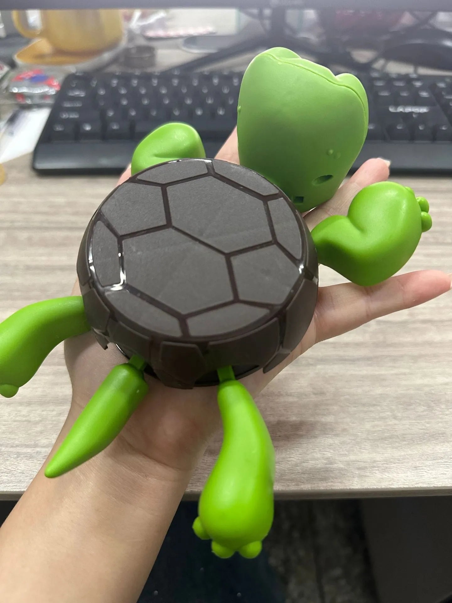 ABS turtle coaster with reptile design in light green colour for heat insulation under hot drinks