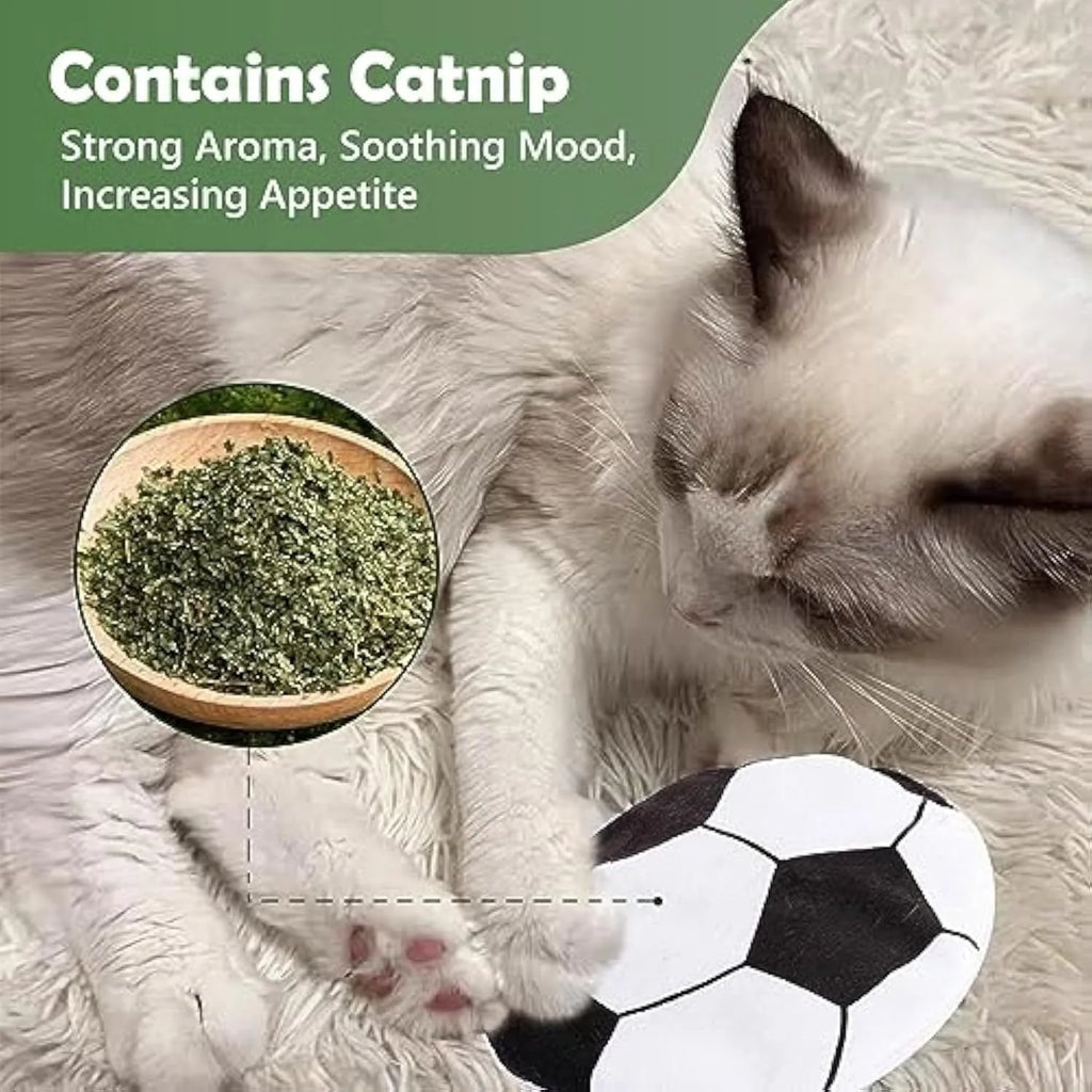 Plush cat toy disc with sports ball pattern containing catnip and crinkle sounds